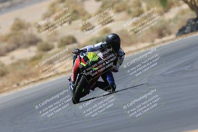 media/May-14-2023-SoCal Trackdays (Sun) [[024eb53b40]]/Turn 5 Tree of Life (1125am)/